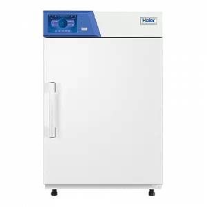 Термостат лабораторный (инкубатор) с естественной конвекцией HAIER HZP-168 (темп. окр. ср. +5°С…+105°С, объем: 168 л.)