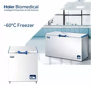 Морозильник лабораторный Haier Biomedical DW-60W258 (-30°...-60°C)