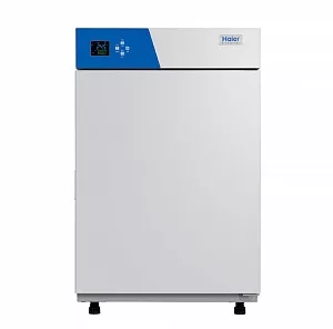 Лабораторный инкубатор (термостат) Haier Biomedical  HZP-80E